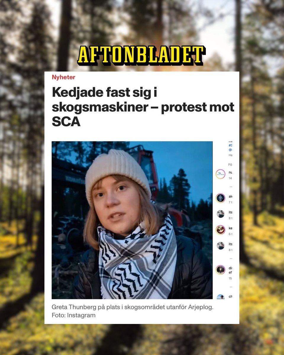 Förbaskat trött på professionella aktivister som förstör för hederliga skogsägare som rättmätigt brukar sin skog. SCA:s avverkning i Arjeplog följer av allt att döma de ganska stränga reglerna vi har i Sverige för vårt skogsbruk. Skogsnäringen håller vår landsbygd levande och