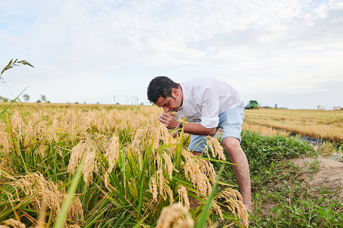 Entre los arrozales del Delta, Joan Capilla encuentra la inspiración que da sentido a su cocina: producto local y amor por la tierra.

Entre els arrossars del Delta, Joan Capilla hi troba la inspiració que dona sentit a la seva cuina. 🌿 hotelalgadirdelta.com

#AlgadirDelDelta