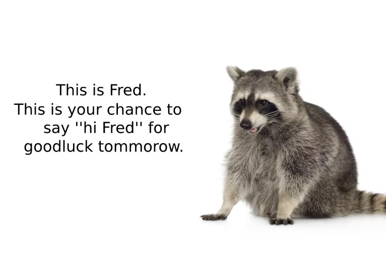 ShouldHaveRacc's tweet image. hi fred