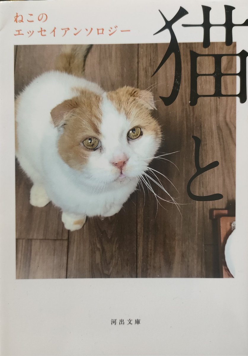 みときち　オープンカーの探偵犬　階段のある風景 兆福堂主人 on X