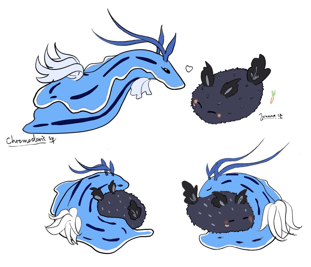 ウミウシヌリ
#Neuvithesley