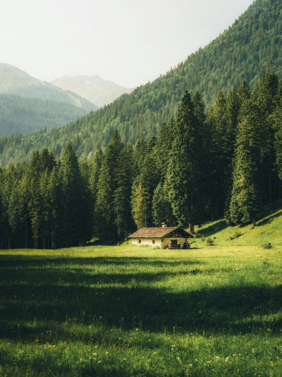 2 weeks alone in the Swiss Alps 🍃

Yes or No ?
