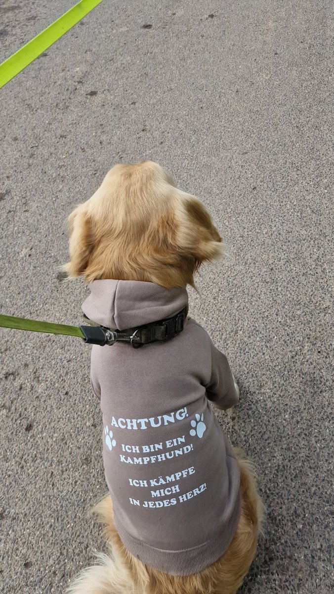 So, der Dosenöffner ist endlich wieder fit. Dafür hats den Rabauken nun volle Breitseite erwischt. 😐