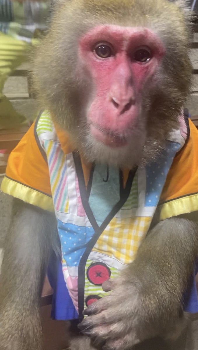 カイ君ページ カイくん