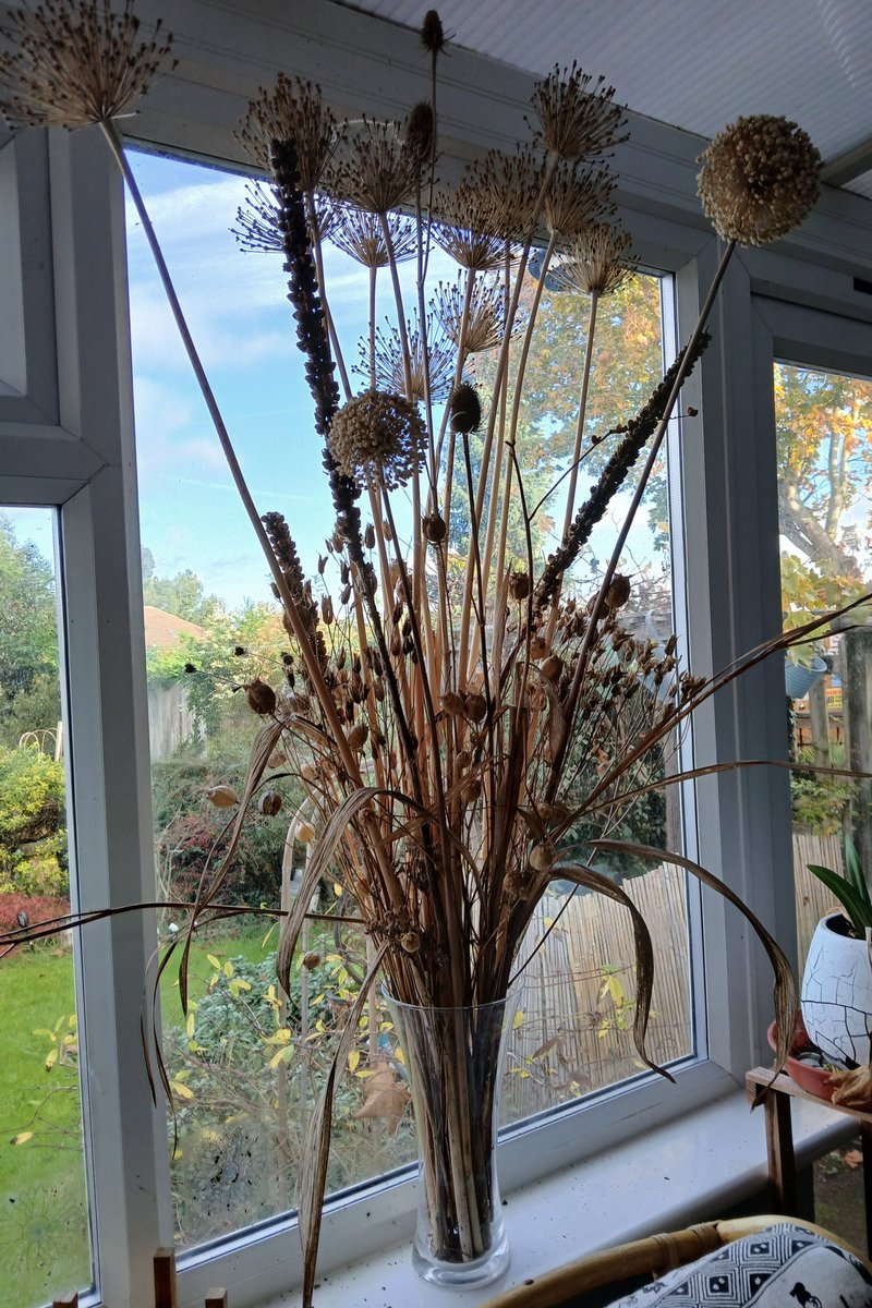 ketchika's tweet photo. @jacquijdesigns just watched your amazing craft on morning live. I thought that you might like to see my all year round dry plants. https://t.co/0nRr6N71D9