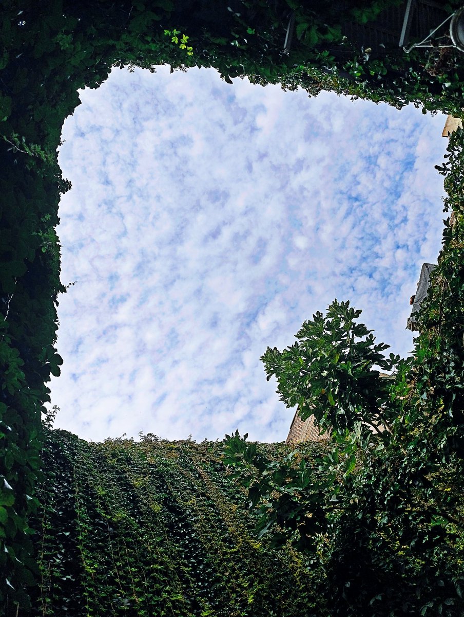 Monna Rossa,bende bugün bir hal var.

#günaydın 
#sur #içkale