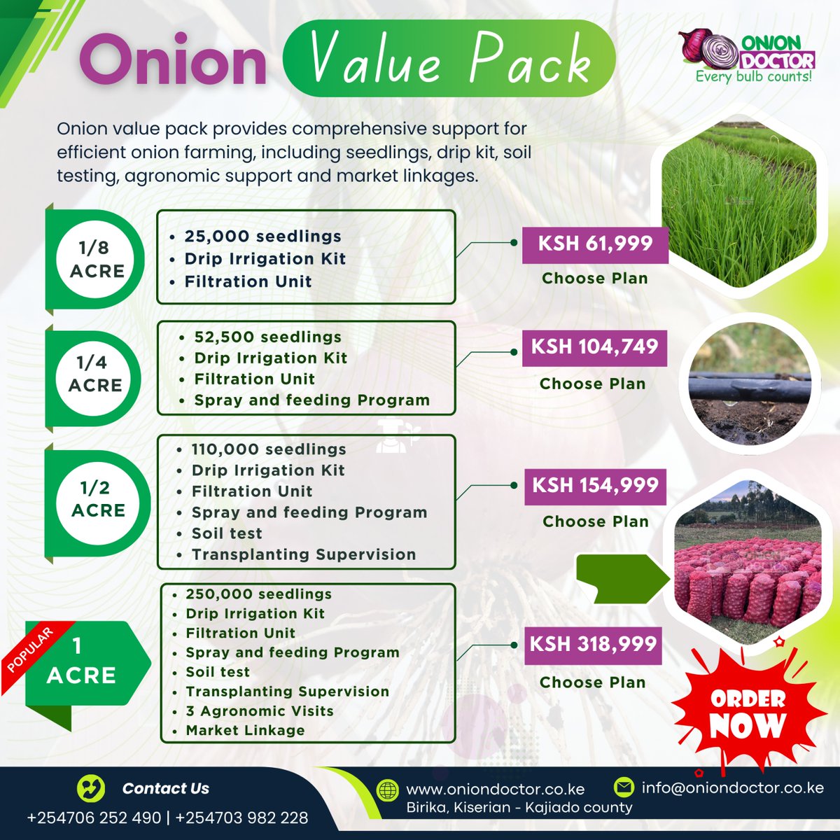 Grand rising from us🥳!
Project Update: Kamuwongo – Mwingi🥳
Our client invested in the Onion Value Pack &amp; we’re proud to report that the farm is doing great !
 We’ve just hit week 4 after transplanting!
Soko ni December !
This could be your farm too ..contact us via 0706252490