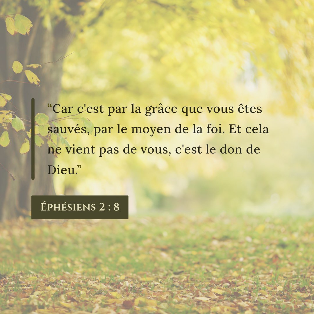 ClervauxG tweet picture