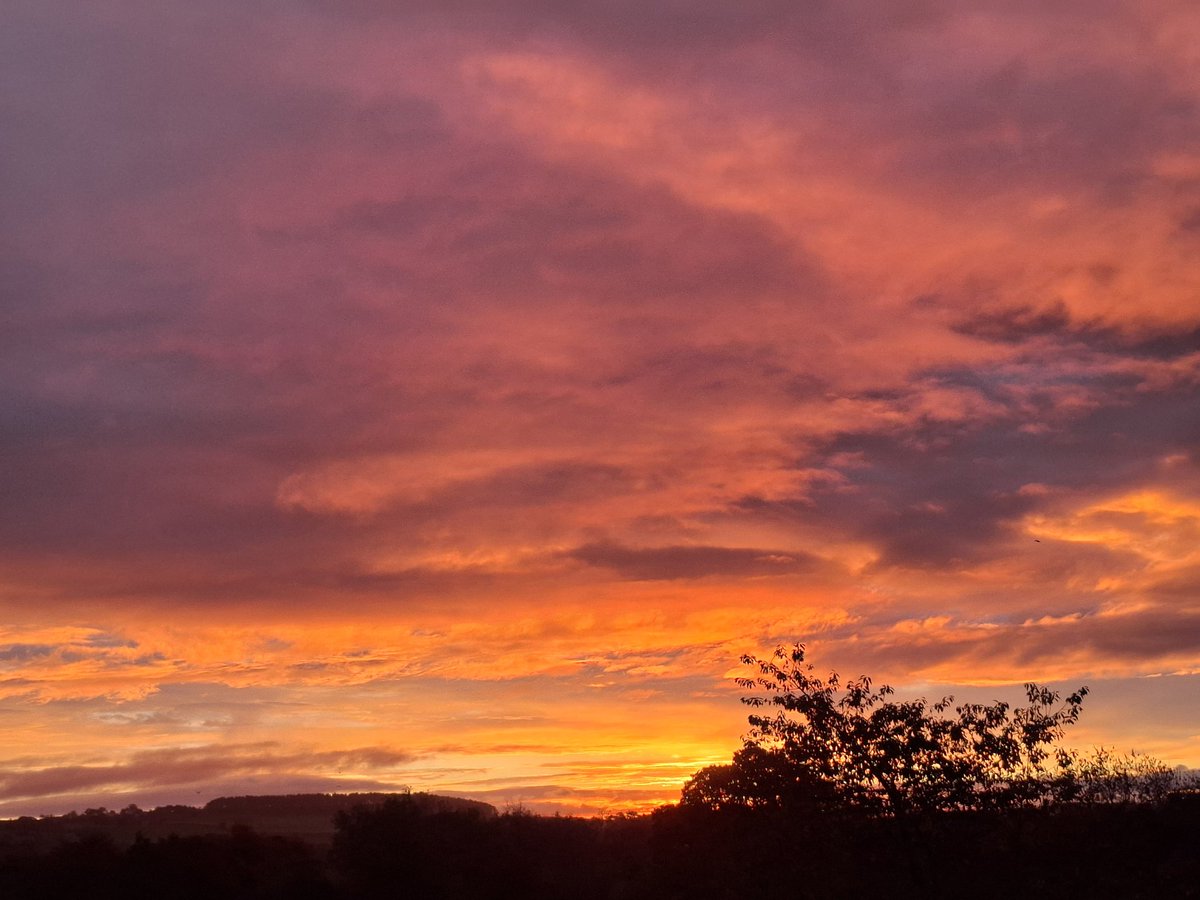 No words needed ❤️🧡