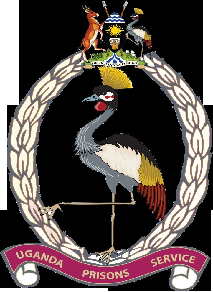 Andrew Kyamagero tweet media