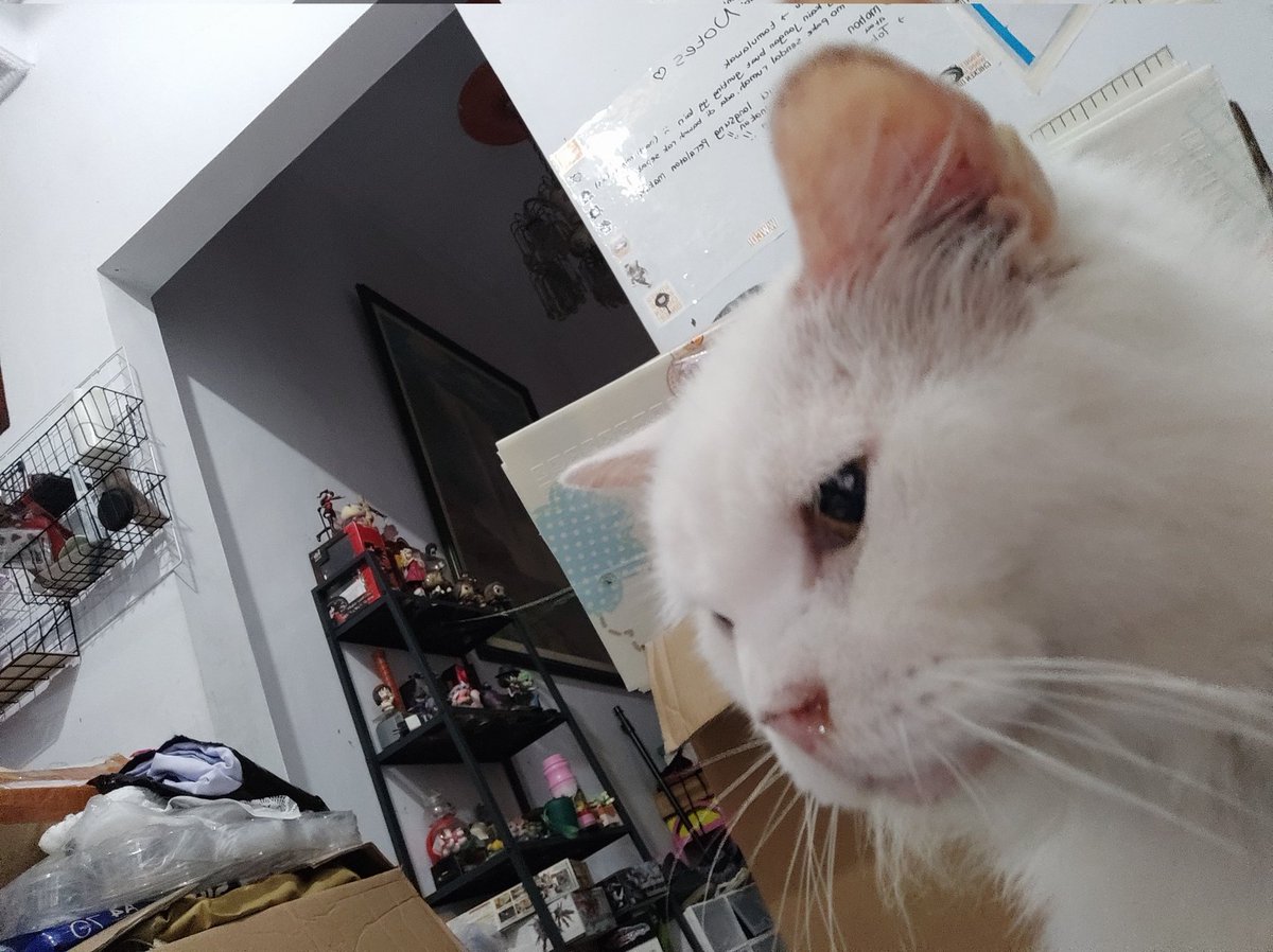 MC Atra (@mc_atra) on Twitter photo 