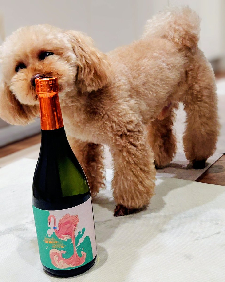 せんちょう on X