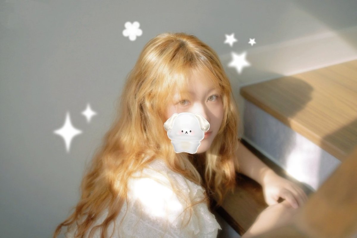 🐶 .𖥔 ݁ ˖