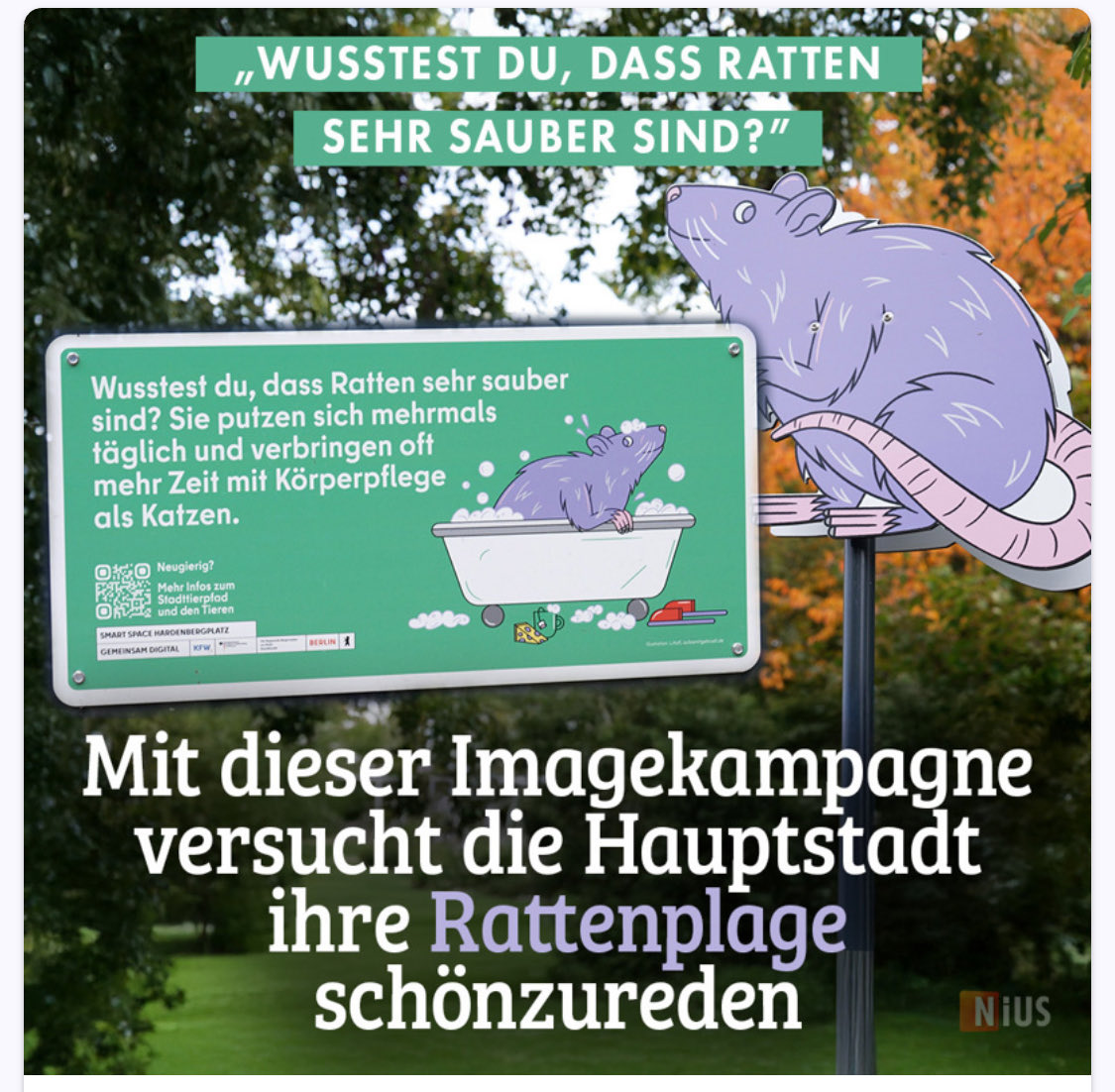 <a href="/Real_Honecker/">Staatsratsvorsitzender</a> Berlin ist schon so verdreckt, dass dich selbst die Ratten mehrmals täglich putzen.