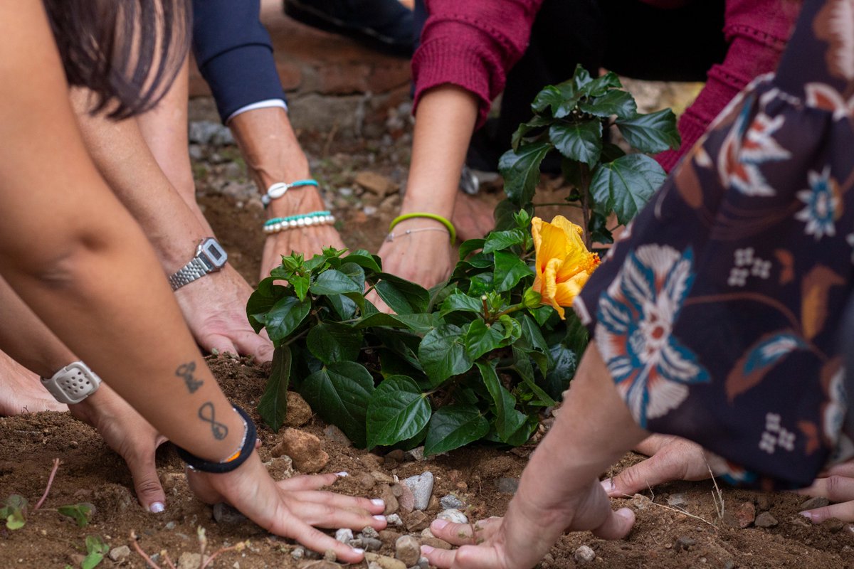 ⌛️El primer dia de la Comunitat Terapèutica de dones, les usuàries han creat una capsa del temps al jardí, sota un hibisc, amb objectes i missatges per al futur.

Volem recordar les primeres dones que donen vida a l'espai i sembrar esperança per les que vindran 🌺