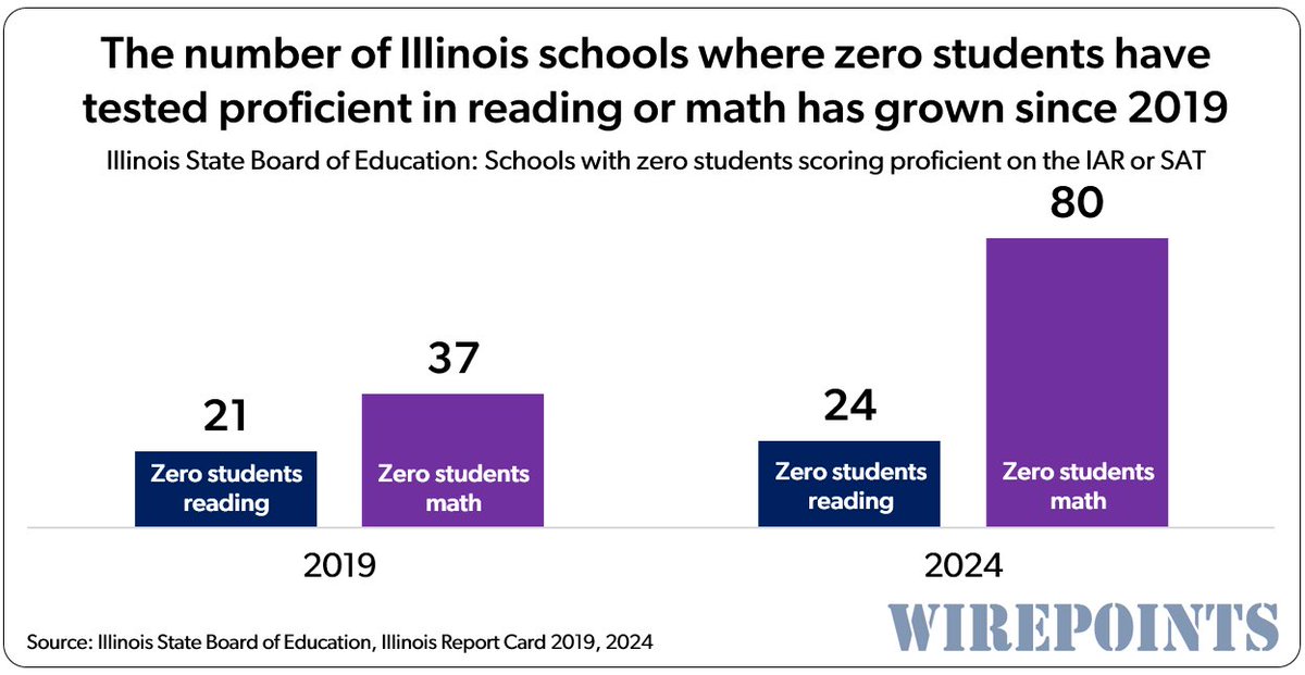 The most recent Illinois Education ‘Report Card’ is Devastating 

🧮 Not a single child tested proficient in math in 80 Illinois schools. 

📖 Not a single child tested proficient for reading in 24 schools.

📉The number of Illinois schools where zero students have tested