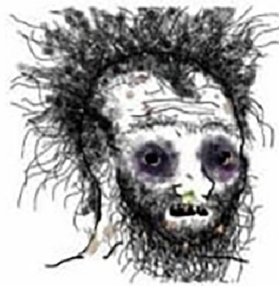 Ma8605791141's tweet image. Z trash shills rn