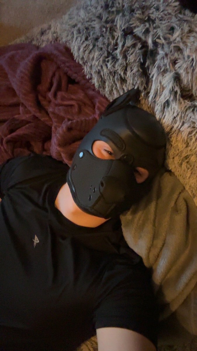 That was an amazing Doggyweekend! I was so glad to get to come see so many amazing doggos some new some known but all will be remembered, although still many to meet that I feel I kept just missing at events 🫣 
But here’s to another day of rest before back to missing DW