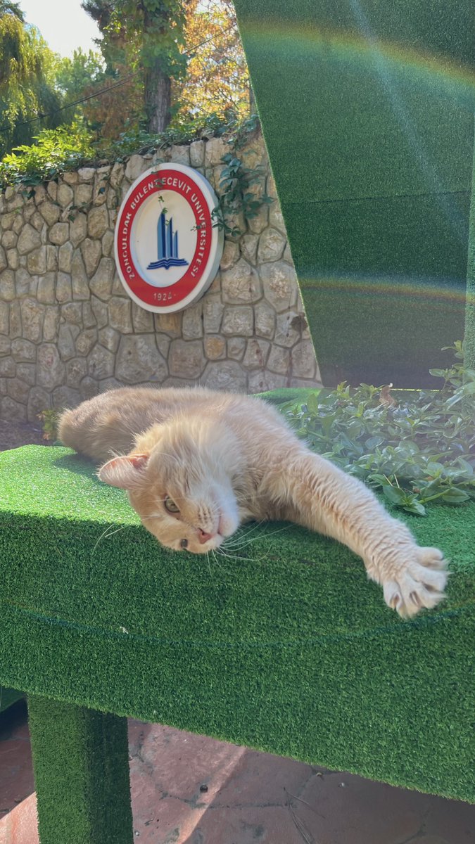 Zonguldak Bülent Ecevit Üniversitesi (BEUN), Türk fotoğrafçılığının efsanevi ismi Ara Güler’in vefatının 7. yıl dönümünde anlamlı bir etkinliğe imza attı. Rektörlük öncülüğünde düzenlenen ve öğrencilerin yoğun ilgi gösterdiği “Ustanın İzinde Kadrajda BEUN” adlı ödüllü fotoğraf