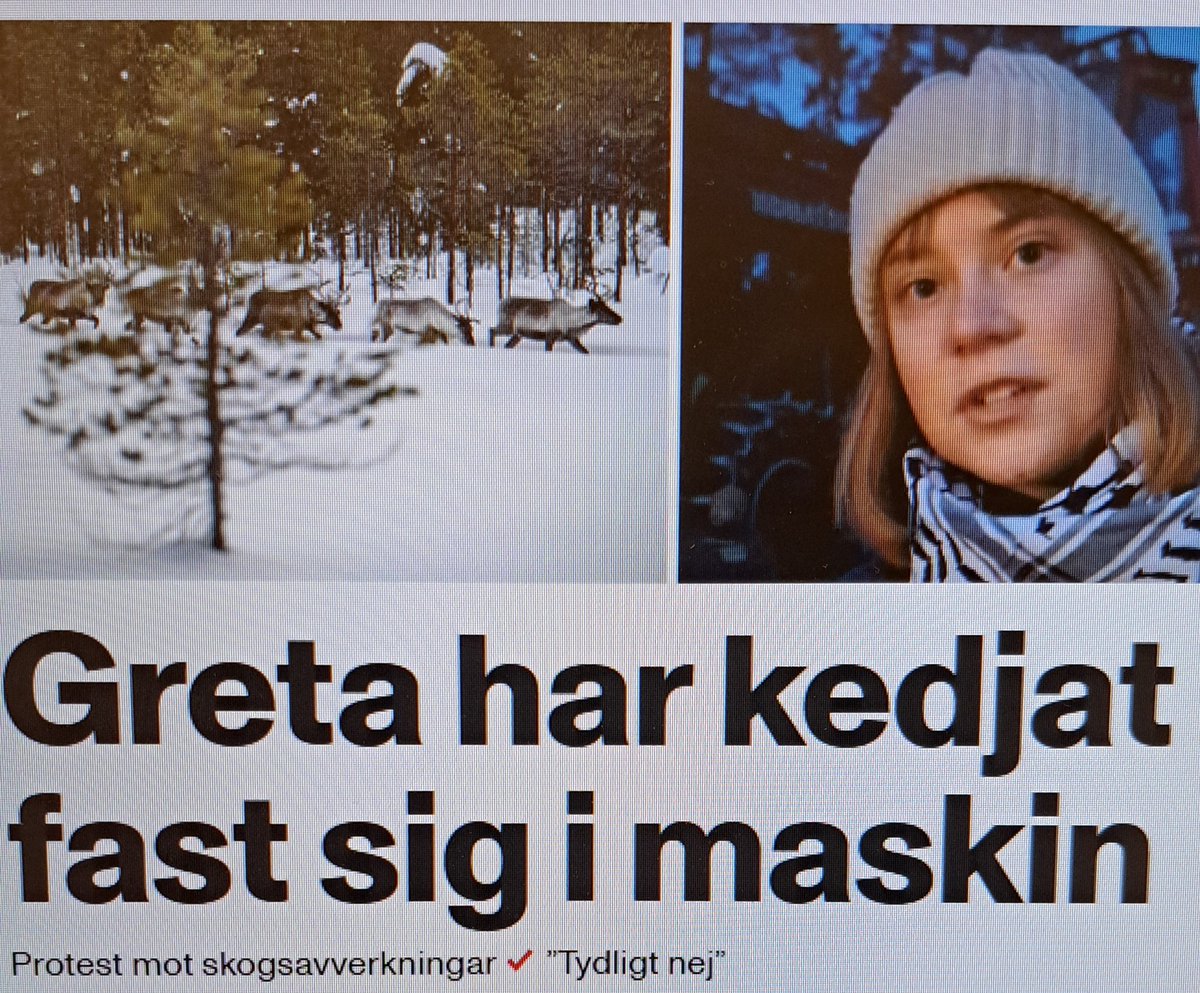 Allvarligt talat nu, låt henne bara sitta kvar. Otroliga resurser går åt dagligen för att hålla reda på Hamas-Greta. Det är bra nu!
