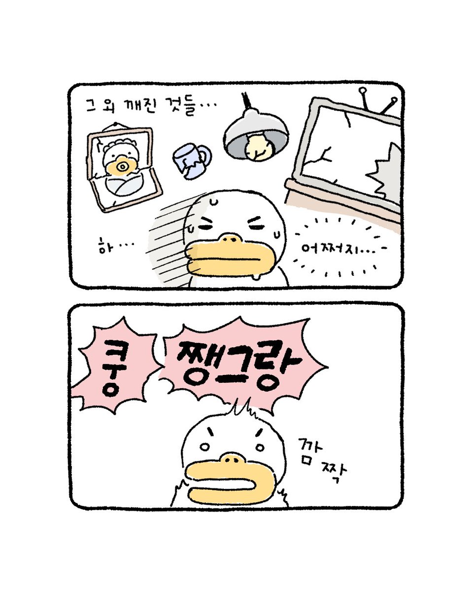 복심이 다이어리 tweet media