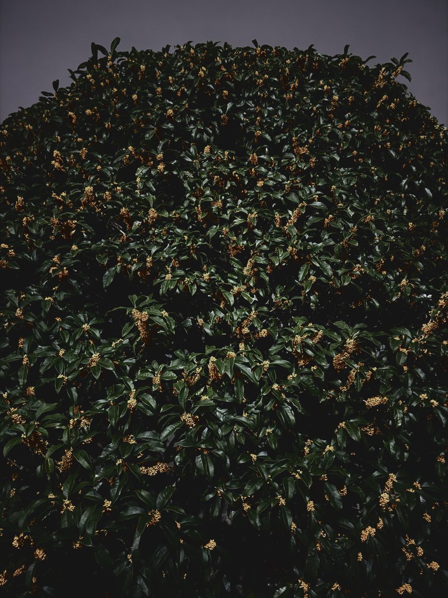 Emma (@sqnq_si3_7et) on Twitter photo 