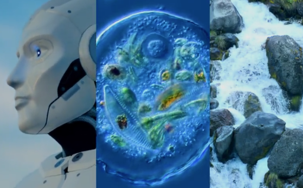 Fund. Bosch i Gimpera tweet media