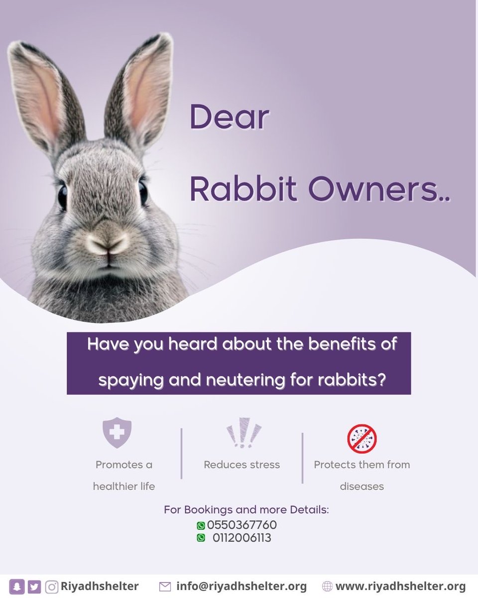 اصدقاؤنا مربو الارانب 🐰