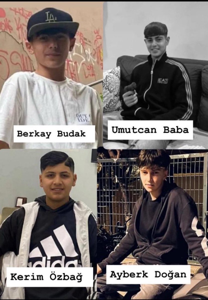 Hırsızlık yaparlar 
Uyuşturucu kullanırlar,satarlar
Mafyacılık oynarlar
"Ne baktın?" diyerek insan öldürürler
Kadınları taciz ederler, musalat olurlar,hayatı zindan ederler,katlederler

Ahmet Minguzzi emsal karar olsun! Türk milletinin evlatları hırtlar tarafından öldürülmesin!