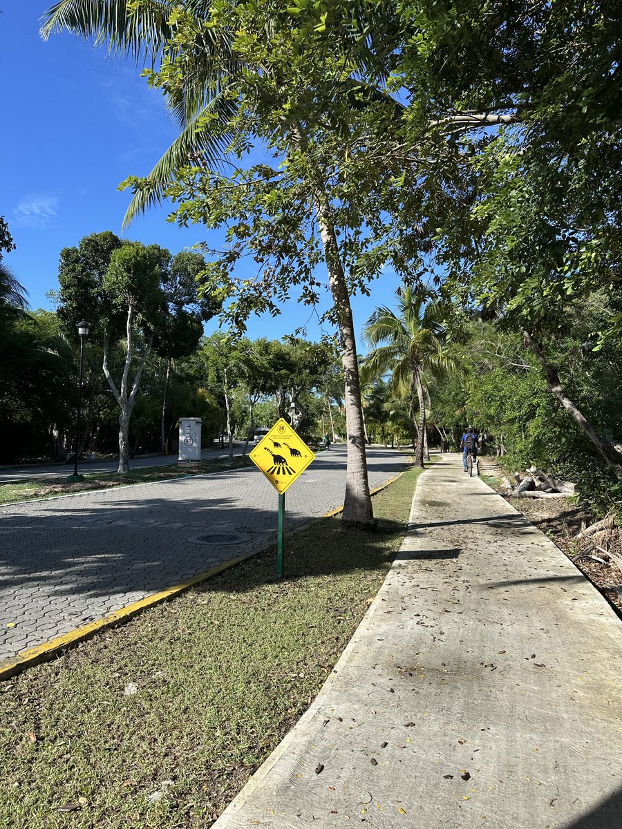 Mel Knox tweet media