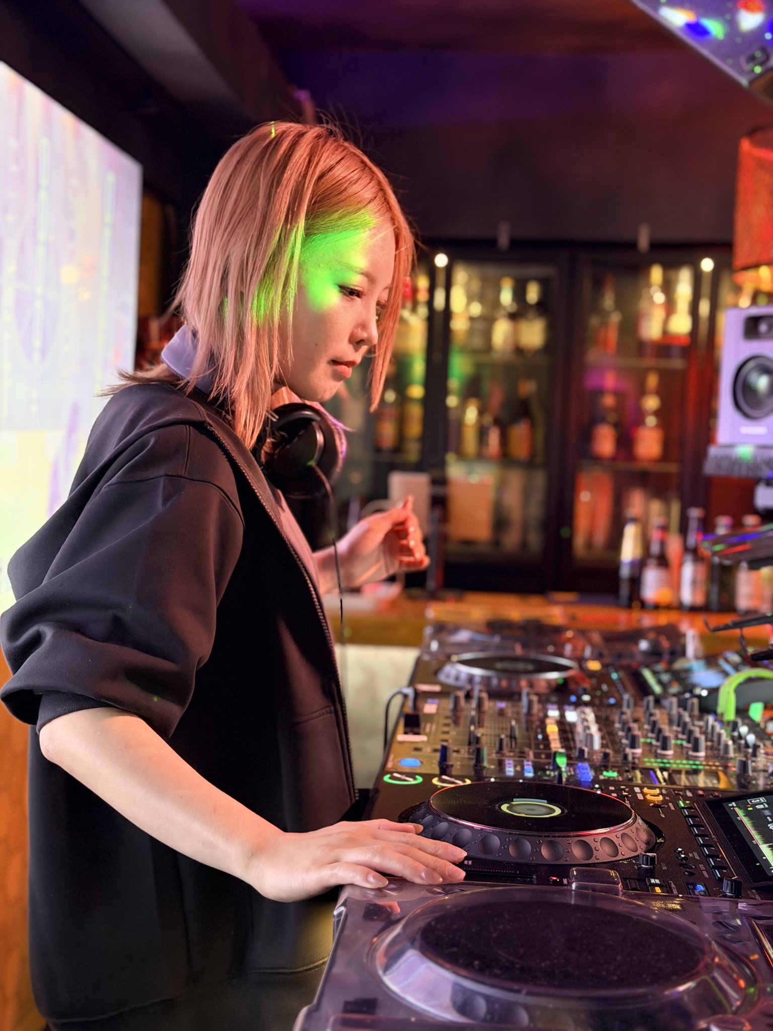 ほしちゃん ほわほわアザラシちゃんの赤ちゃんBIG ほわほわちゃん / Howa