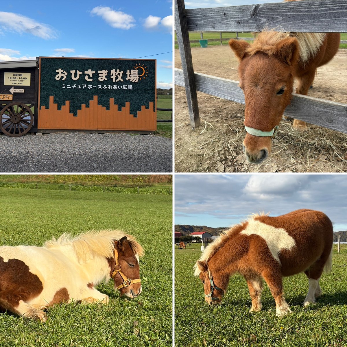 もゆか (@moyukahome) / X