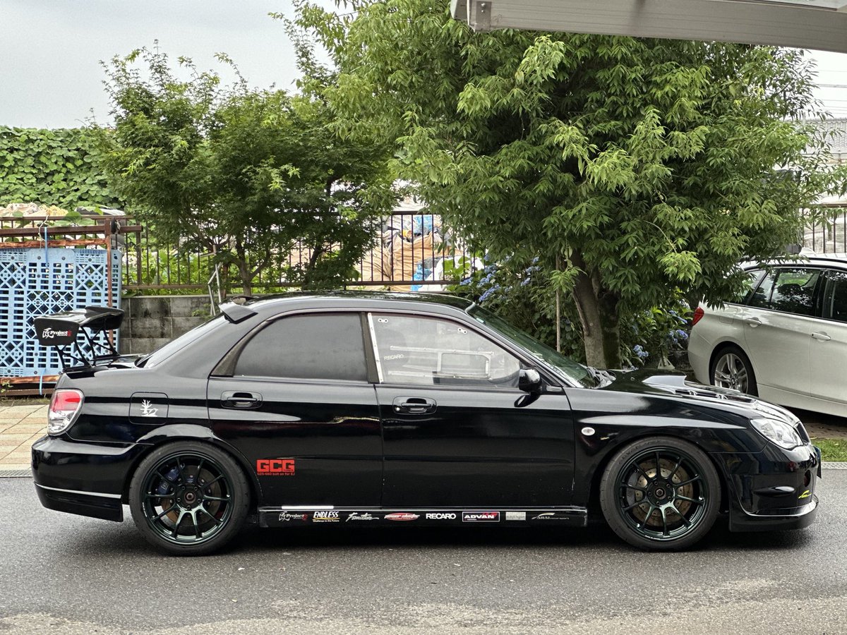 NAOTOさんのフリスビー NAOTOさんのフリスビー Let him cook