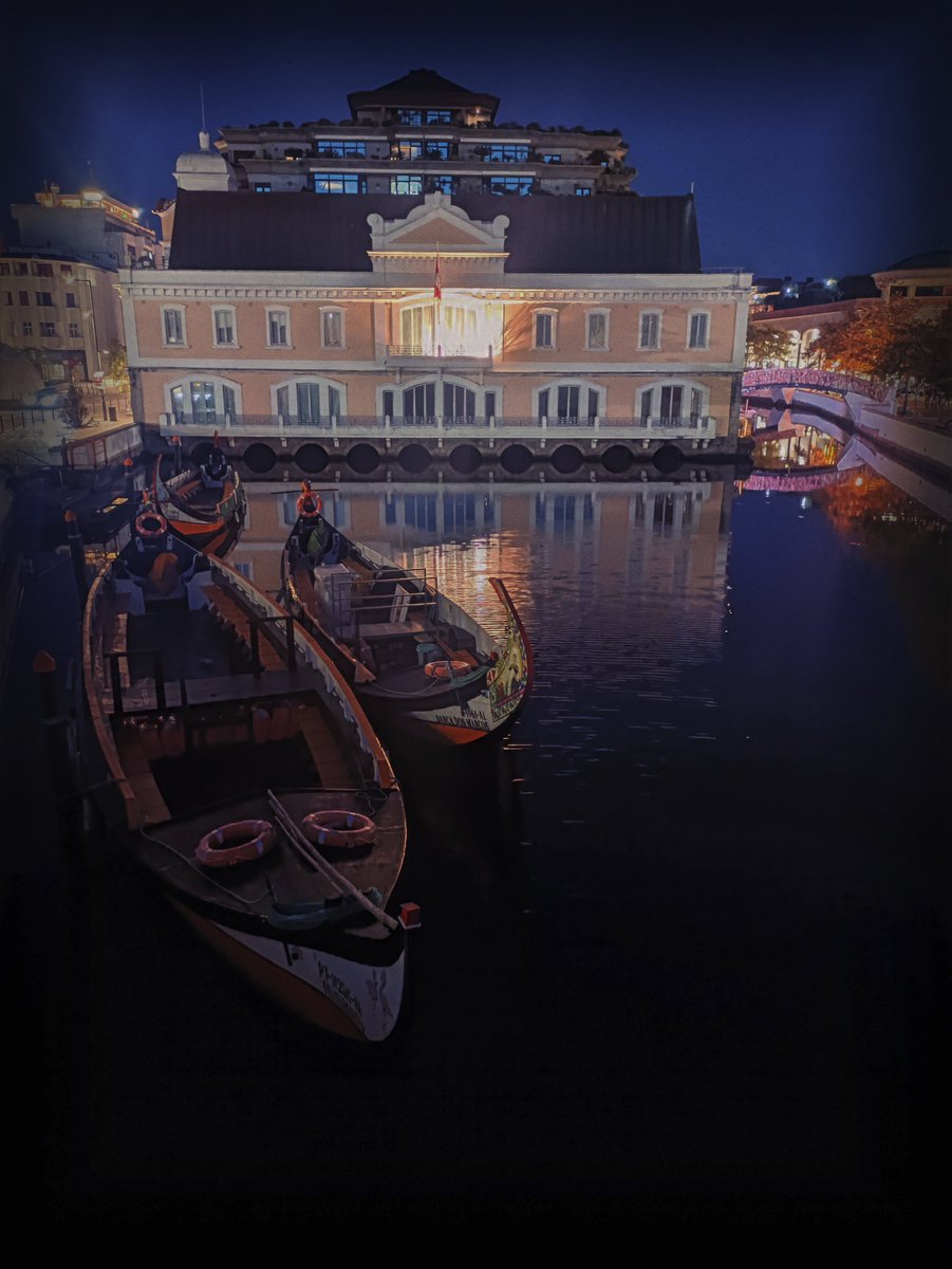 AtiSphere's tweet photo. Honored to show my interactive installation Wood Wide Web at the Prisma Light Festival in beautiful Aveiro, Portugal 🌊✨
Light, sound &amp; mycelial networks meeting human presence.
Big thanks to all who connected! 🌱
#PrismaFestival #AtiSphere #LightArt #InteractiveArt https://t.co/lVHjzumF8k