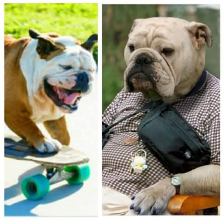 Oh man, back in my day.. I tell ya what! #Sk8orDie #OkeSkool #Thrasher #StreetPhreaks