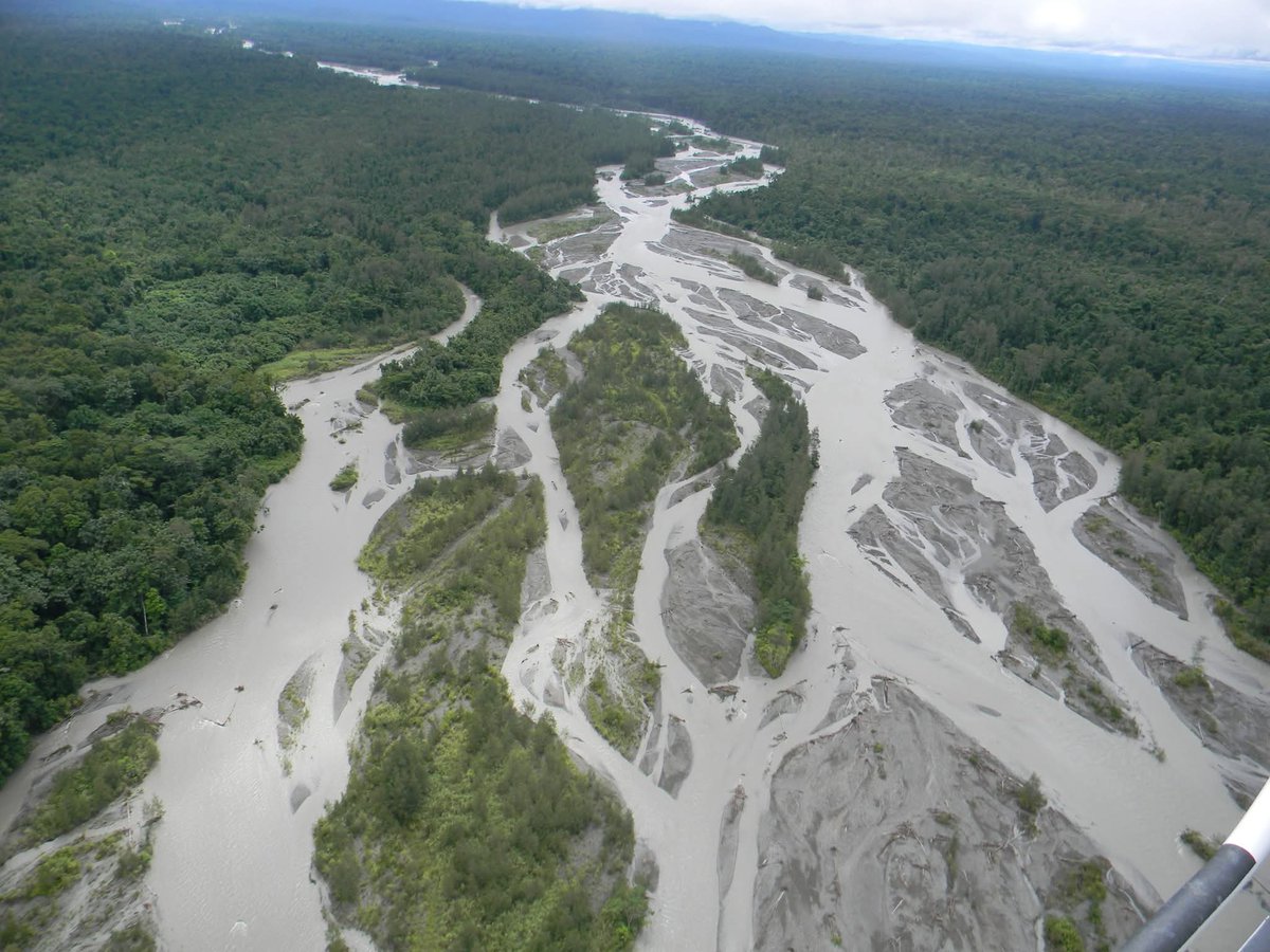 Kira-kira berapa hutan di korowai sana yg akan kalian rusak....
Demi sebuah Food Estate dan Pemburuan emas.