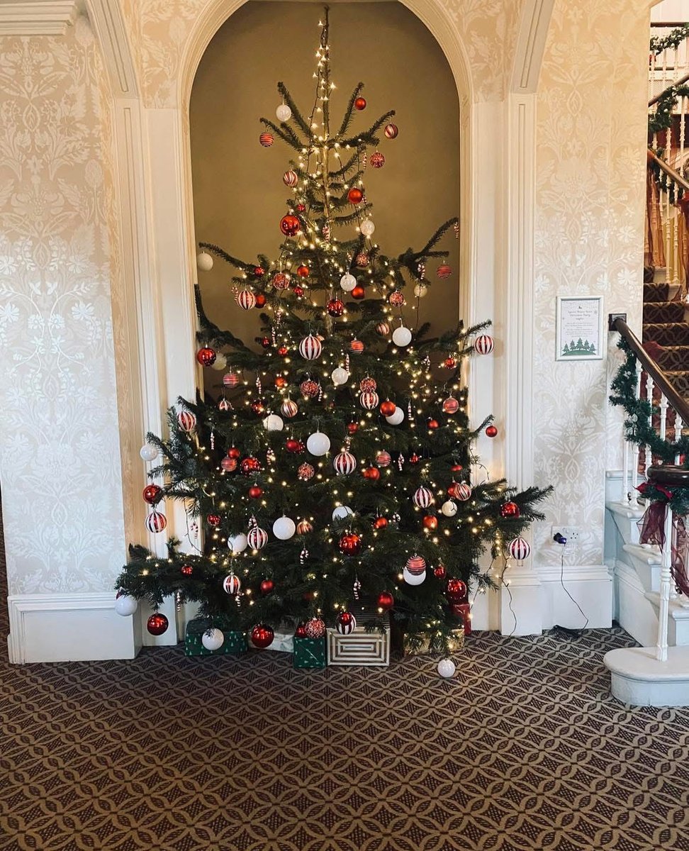 LyssesHouse's tweet photo. Christmas is just around the corner! 
We have some space left on our famous party nights. 
28th November -  party  of 28 and a table of 4 
6th December - 2 spaces 
12th December - 16 spaces 
13th December - 4 spaces 
19th December - 2 spaces 

Call us on 01329 822622. https://t.co/oHYidlMjx9