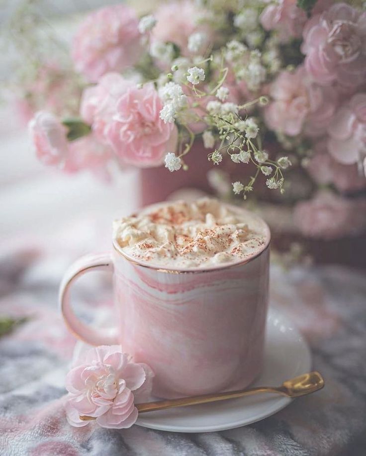 Good afternoon☕🌸🌿🌸
