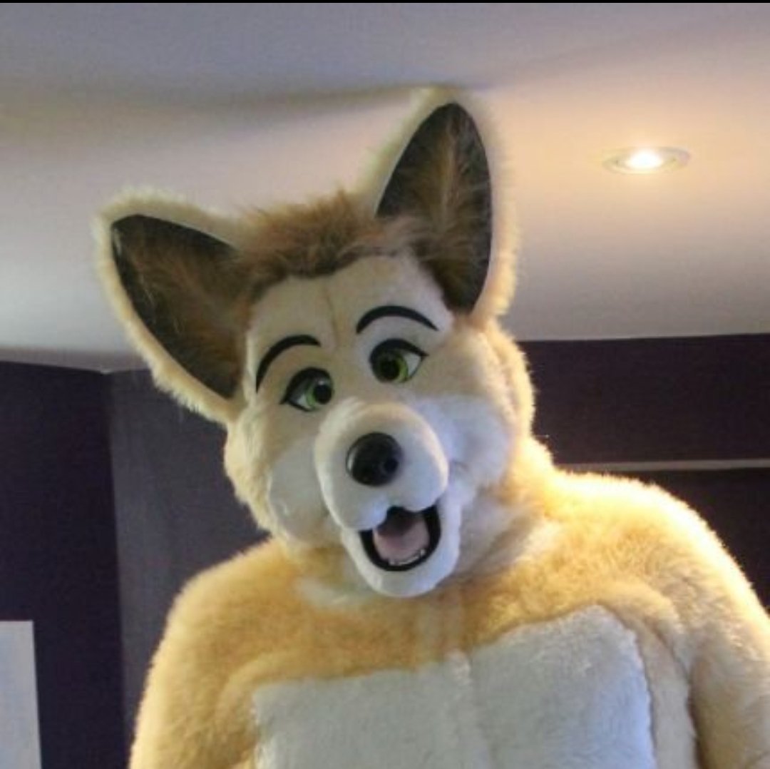 DewEnjoyer's tweet image. You ever notice how right wingers always have the most butt ugly fursuits, I've never seen them have one that doesn't look like a discarded FNAF animatronic