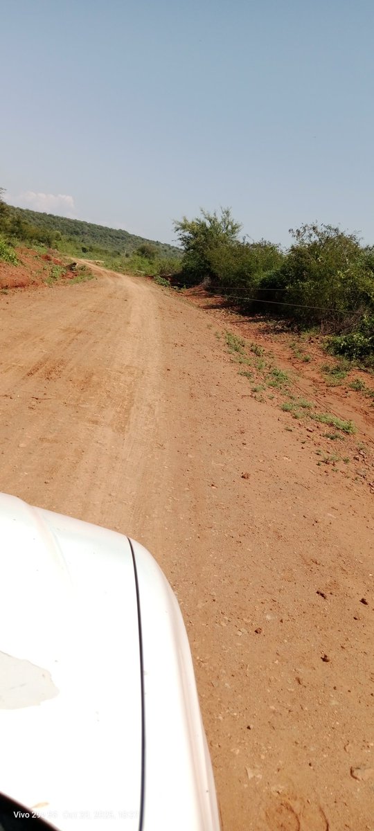 FChamuren's tweet photo. Dangerous power lines along Chepyuan -Kamar near Sitet centre 

The entire line from Molosirwe to Milos requires a comprehensive upgrade from  timber to concrete poles @KenyaPower_Care @KenyaPower 

Location https://t.co/DEi9FV0ZzK https://t.co/QvixcOnufk