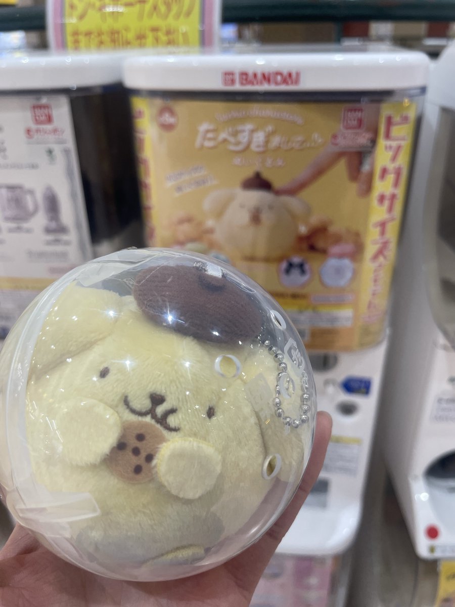 http___acvi36's tweet image. またいっぱい増えた！！
#ぽむ活 #ポムポムプリン #POM