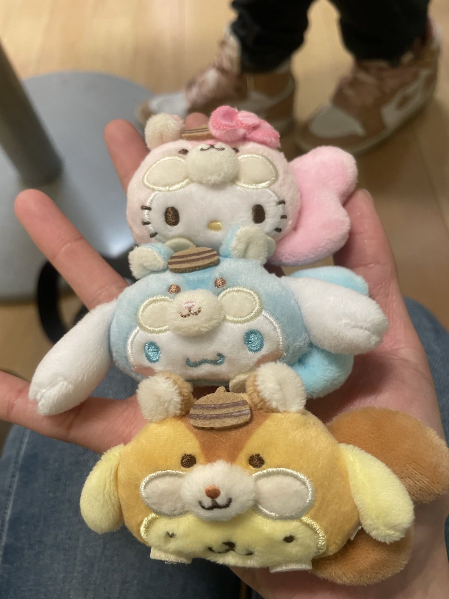 http___acvi36's tweet image. またいっぱい増えた！！
#ぽむ活 #ポムポムプリン #POM