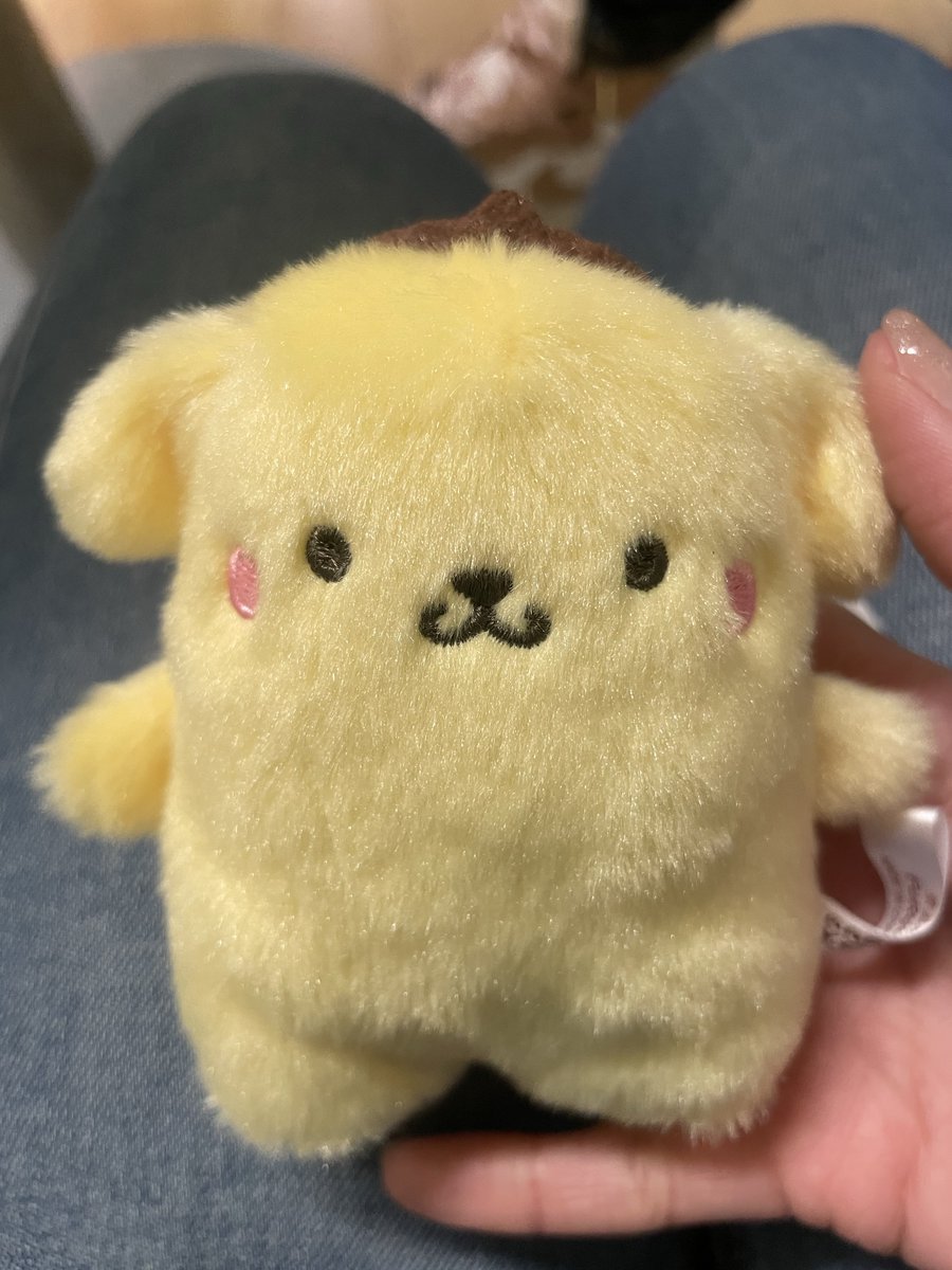 http___acvi36's tweet image. またいっぱい増えた！！
#ぽむ活 #ポムポムプリン #POM