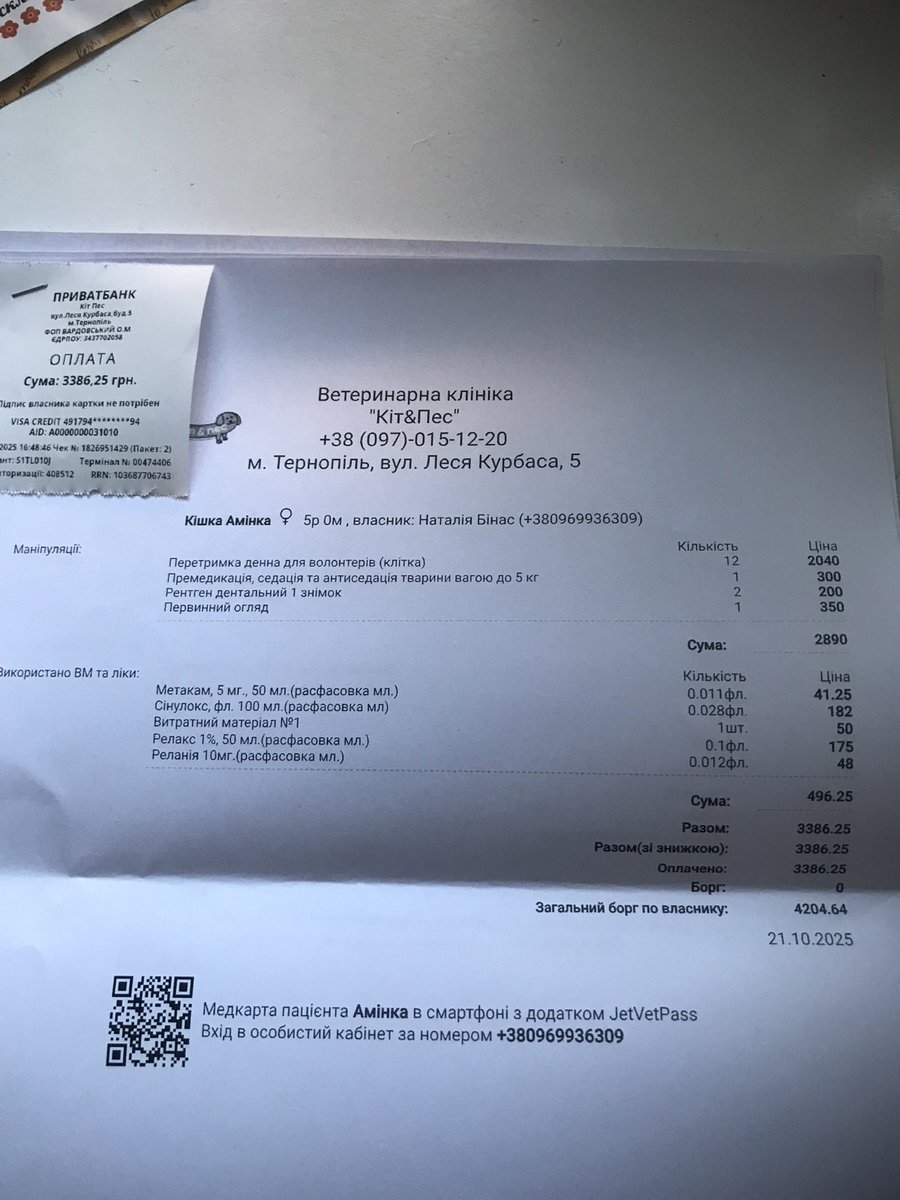 binas1976's tweet image. Забрали кішку Амінку з клініки
Шкода що знов на вулицю
Завдяки Вашим донатам оплатили лікування і перетримку на суму 3386 грн
Дякую Всім хто долучається до допомоги для вуличних котиків !!