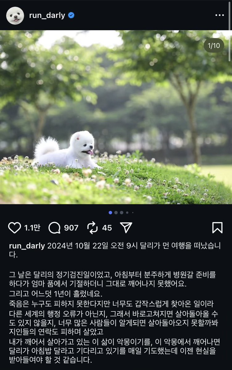 강아지 달리가 무지개 다리를 건넜구나. 

그간 달리 계정에 소식이 올라오지 않아 잘 지내겠거니 했는데.. 
달리언니의 글을 보니 사랑하는 가족을 보내고 일년간 얼마나 힘들었는지 보여서 안쓰럽더라. 

달리야, 용감한 달리야… 잘 지내. 안녕..