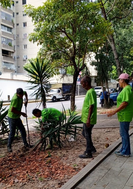 Vecinos, las Cuadrillas de Acción Inmediata (CAI) de <a href="/AlcaldiaBaruta/">Alcaldía de Baruta</a> continúan trabajando por su Calidad de Vida 🍃 

✅ Desmalezado, saneamiento ambiental, y recolección de desechos vegetales.
📍Las Mercedes. 
📍Piedra Azul.
📍La Alameda.
📍 Bulevar de Santa Fe.