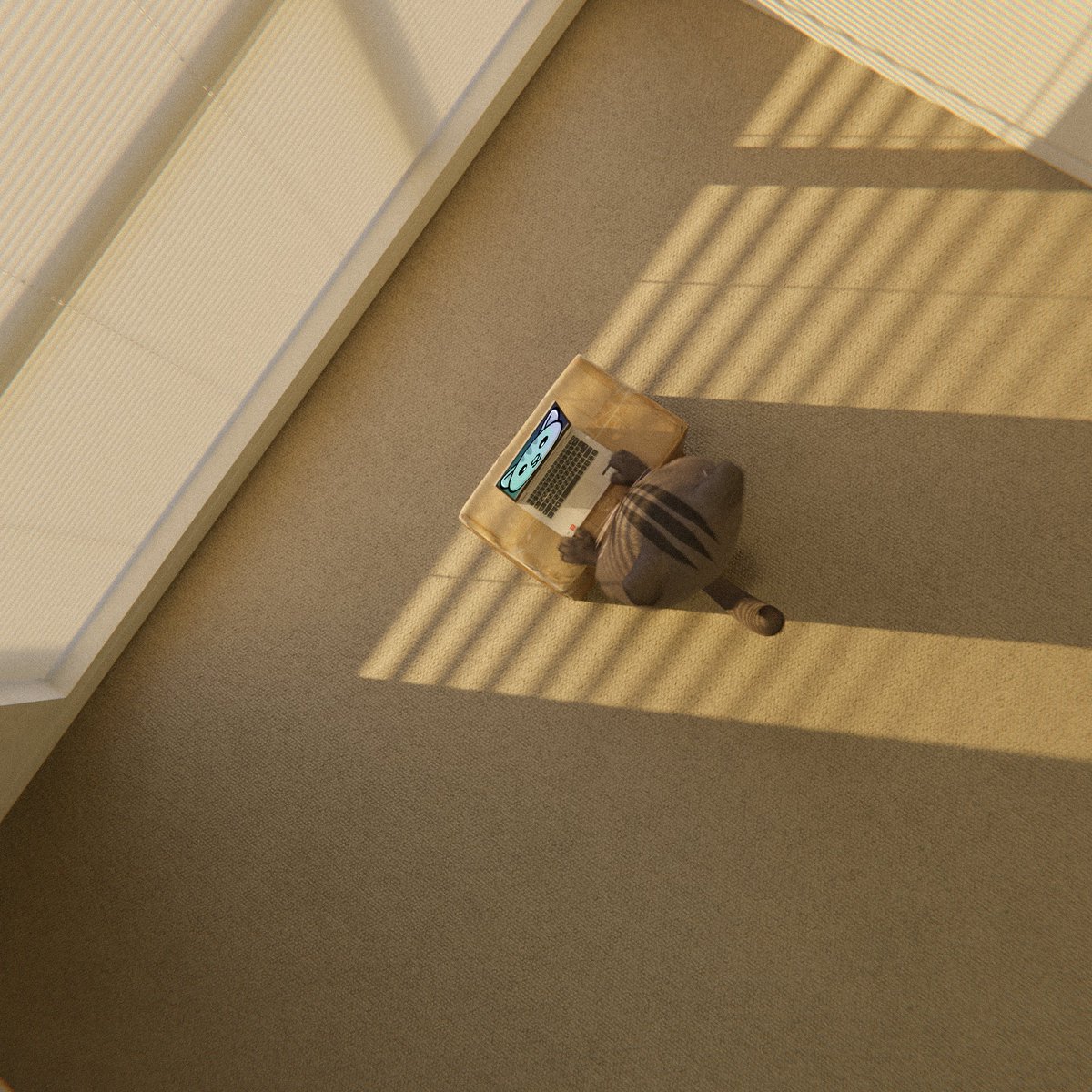 all you need is a box, computer and dedication 🐾