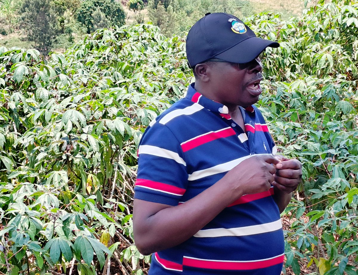 INGABOFAMERS's tweet photo. 🌱 On the field with #Cassava Seed multipliers! They gained invaluable insights from pro-multiplier Mr. Francois Nsanzintwali, who inspired them to step up and close the gap in cassava seed production. 🚀

#CassavaSeeds #SeedMultiplication https://t.co/2V7nc8Nv2w