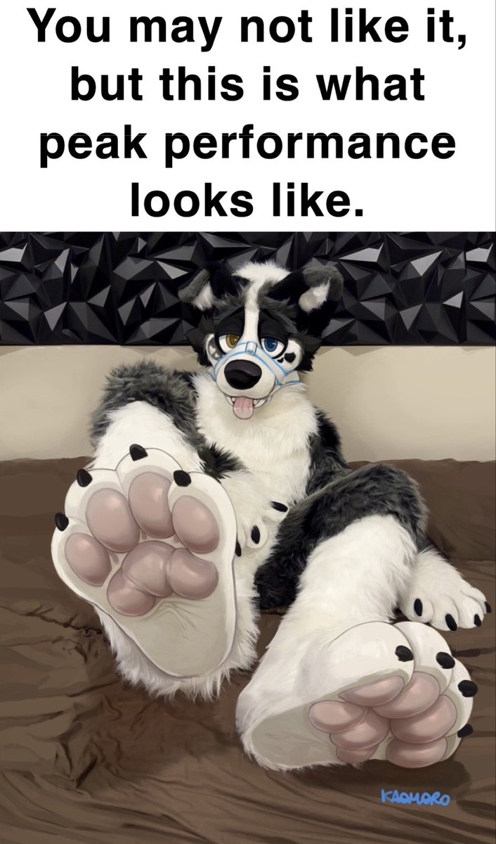 twopiecedior's tweet image. The ideal doggy type 🐶🐾