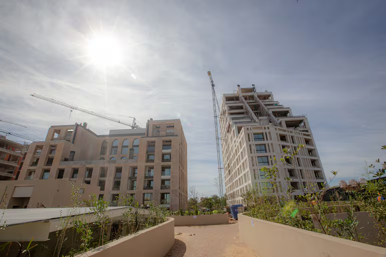 Santiago Zavattiero tweet media